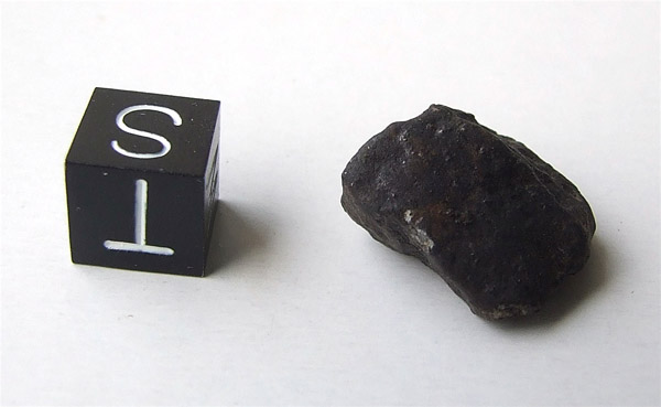 Buzzard Coulee (Saskatchewan meteorite) (H4)