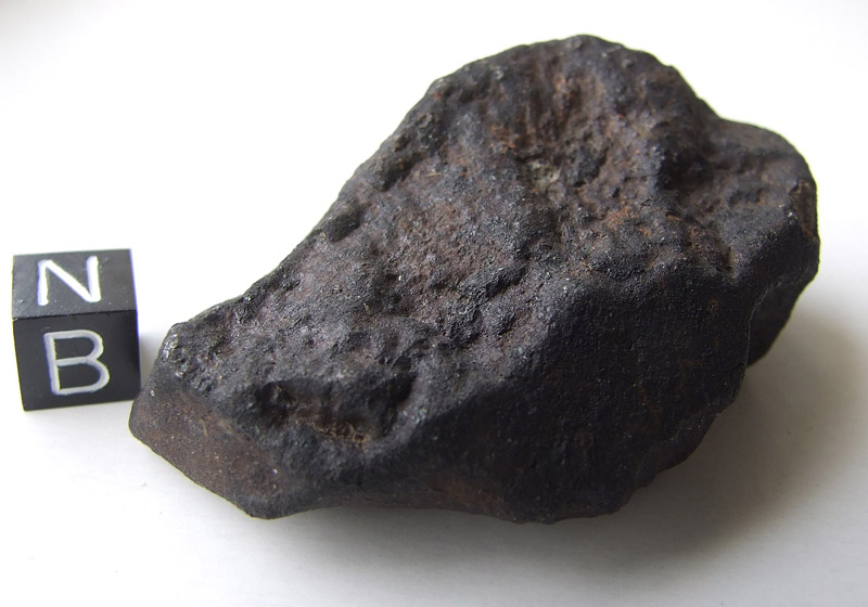 Buzzard Coulee* (Saskatchewan meteorite) (H4)