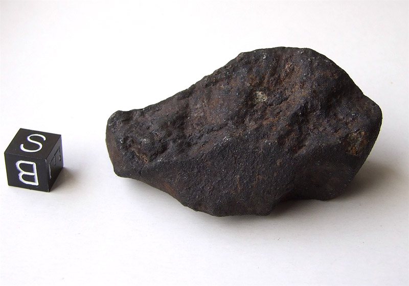 Buzzard Coulee* (Saskatchewan meteorite) (H4)