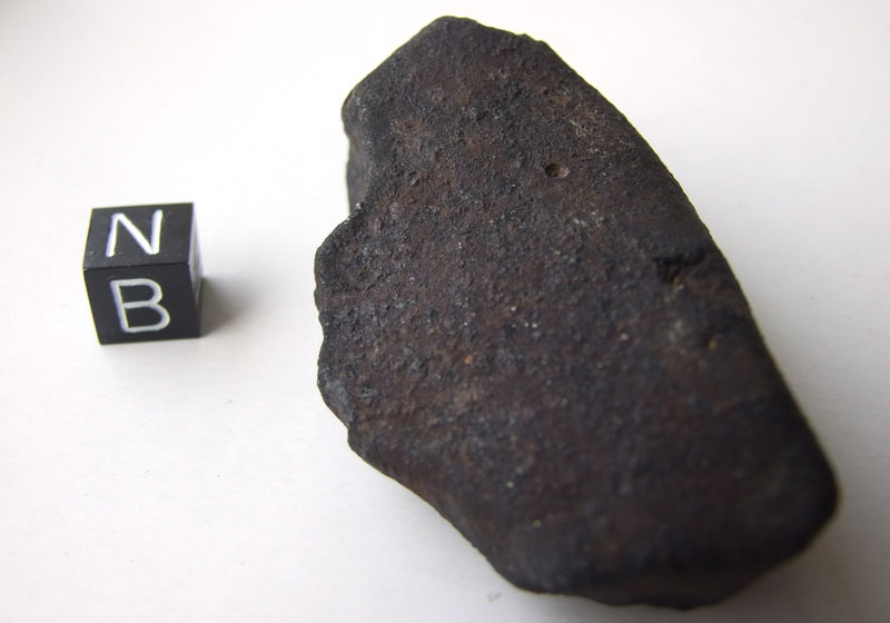 Buzzard Coulee* (Saskatchewan meteorite) (H4)