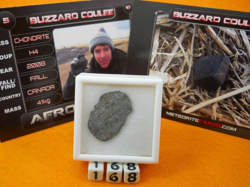 Buzzard Coulee* (Saskatchewan meteorite) (H4)