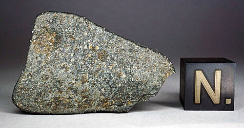 Buzzard Coulee (Saskatchewan meteorite) (H4)