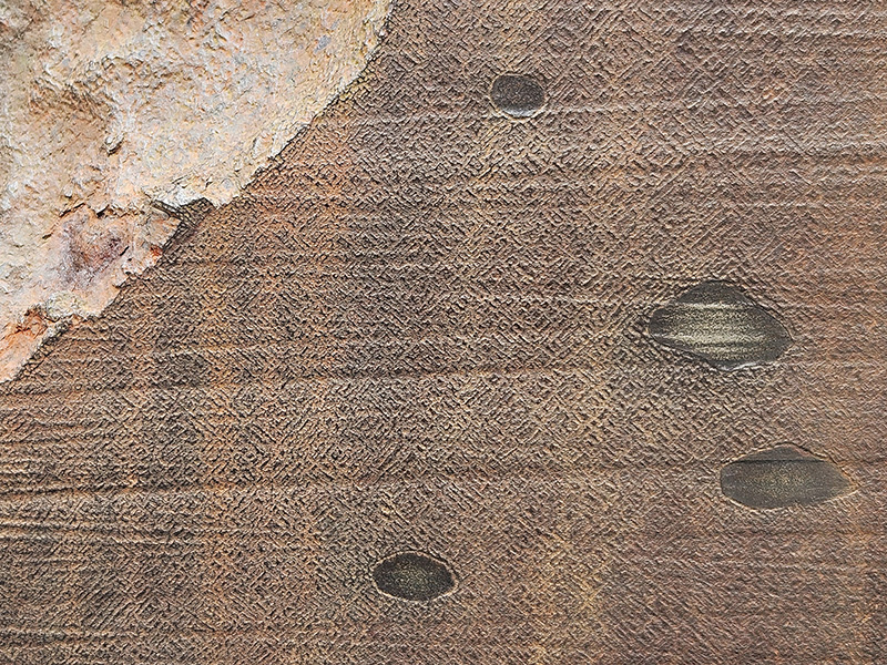 Cape York (Agpalilik), Muzeum Historii Naturalnej w Kopenhadze (Statens Naturhistoriske Museum, Kobenhavn; Natural History Museum Denmark; Copenhagen)