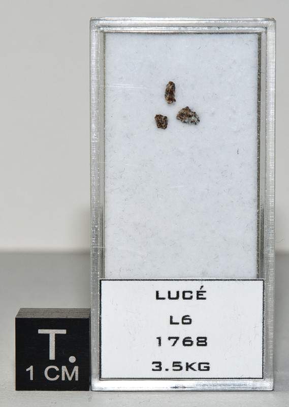 Luc (L6) (Luce)