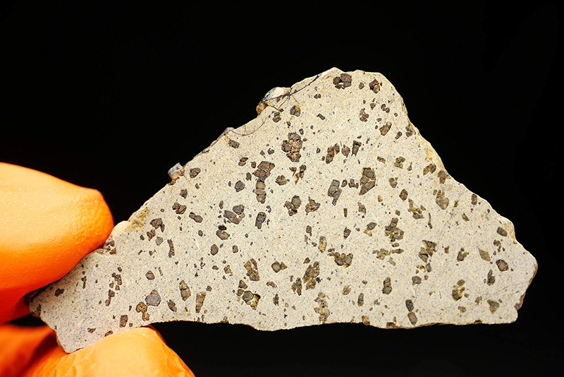 Tarkint 001 (SNC SHE)