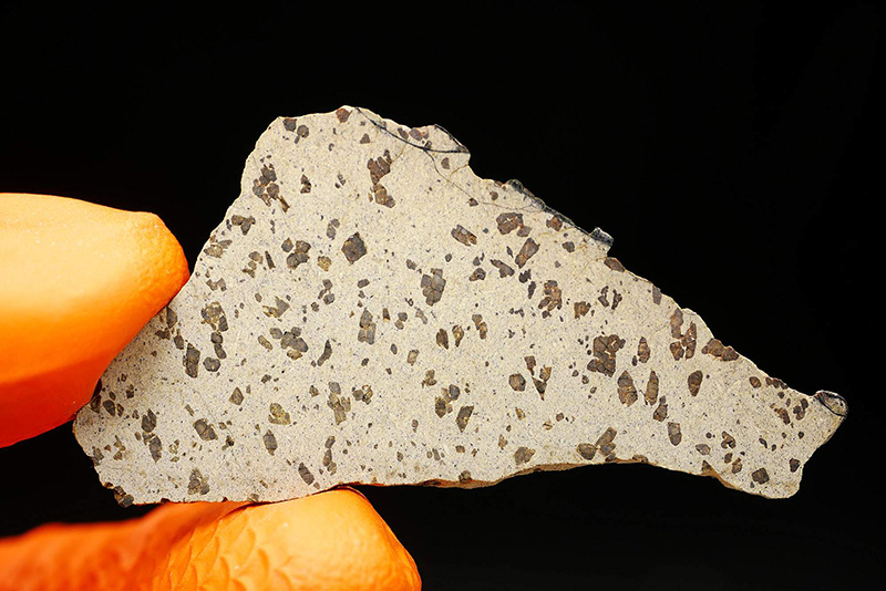 Tarkint 001 (SNC SHE)