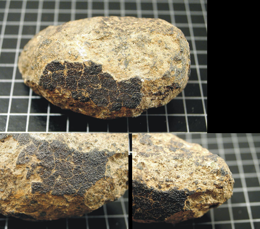 Meteorite Allende (CV3.2 Ox)