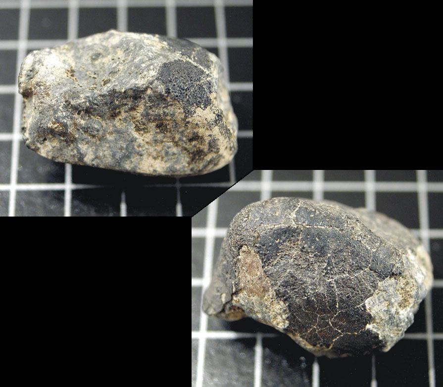 Meteorite Allende (CV3.2 Ox)