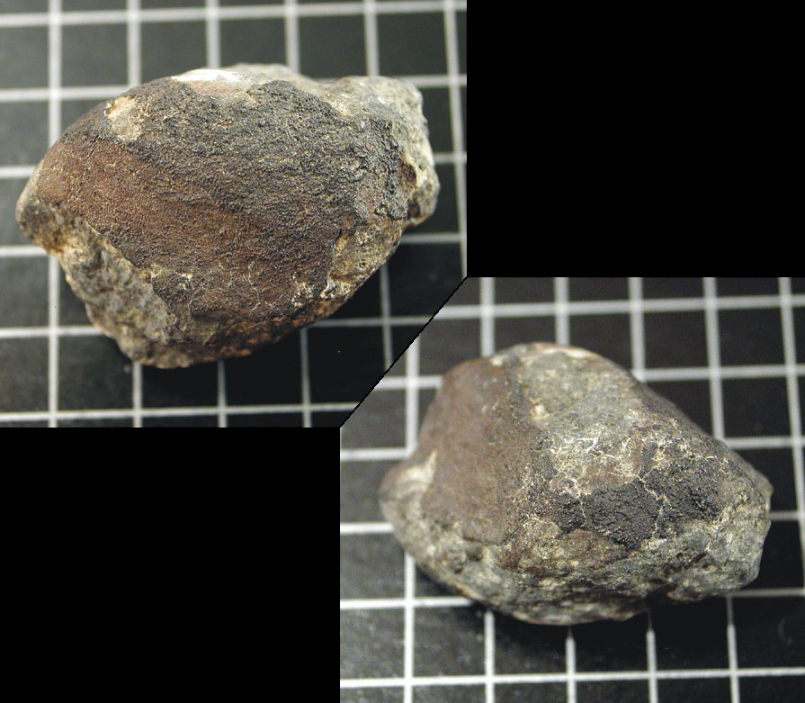 Meteorite Allende (CV3.2 Ox)