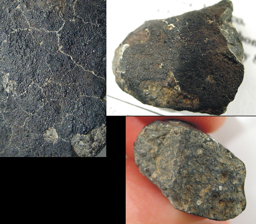 Meteorite Allende (CV3.2 Ox)