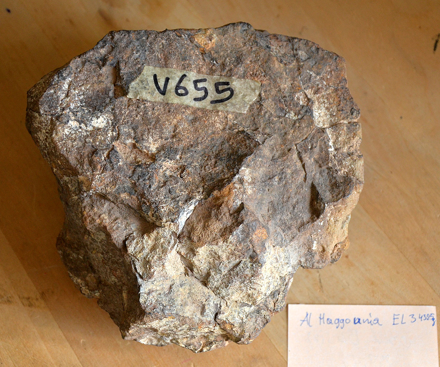 Al Haggounia 001 (EL-melt rock)