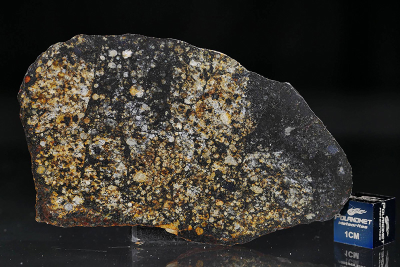 NWA 10377 (L-melt breccia)