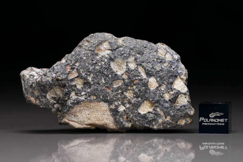 NWA 11421 (Lunar (feldspathic breccia); lunaryt)