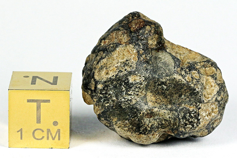 NWA 11576 (Eucrite-melt breccia)