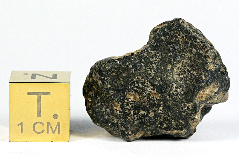 NWA 11576 (Eucrite-melt breccia)