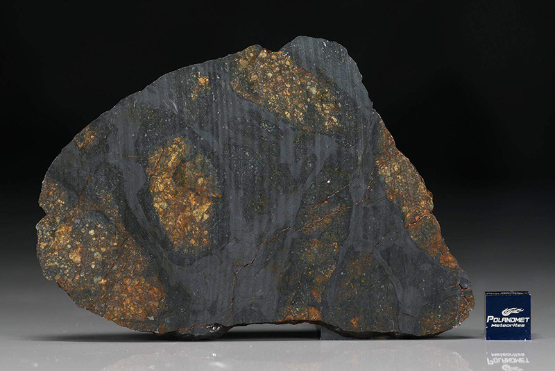 NWA 12181 (L4-melt breccia)