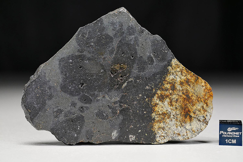 NWA 13236 (LL6-melt breccia)