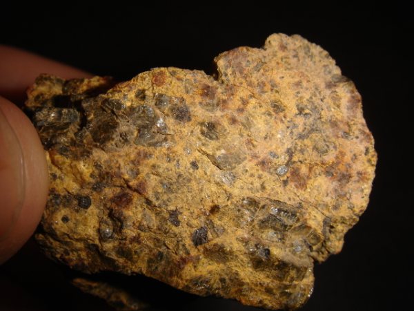 NWA 1877 (DIO-an (olivine))