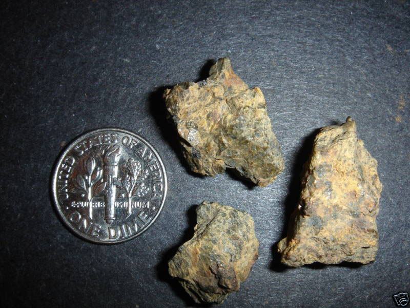 NWA 1877 (DIO-an (olivine))