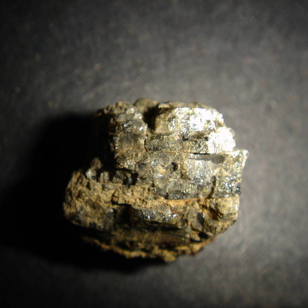 NWA 1877 (DIO-an (olivine))