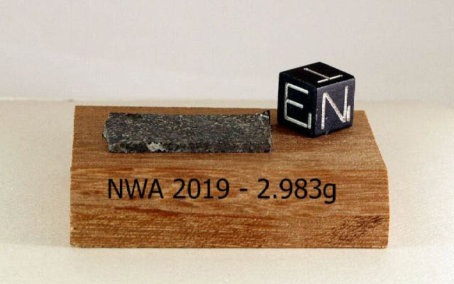 NWA 2019 (MES)