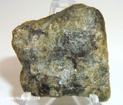 NWA 5480 (DIO (olivine))