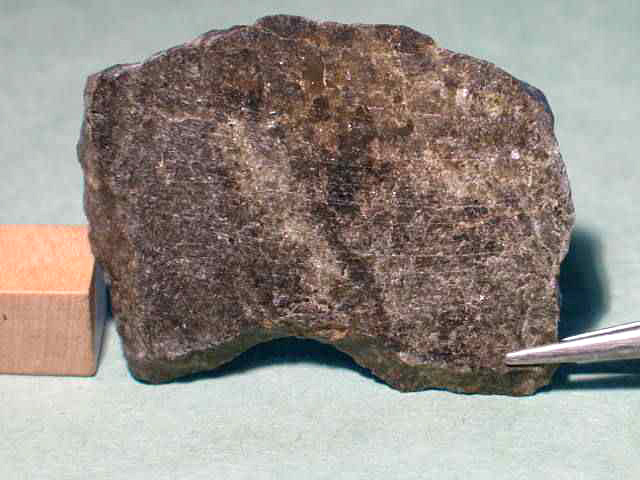 NWA 5480 (DIO (olivine))