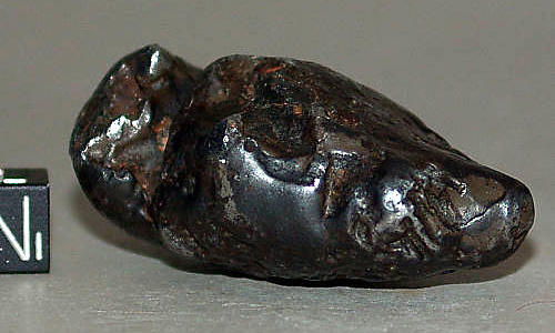 NWA 5549 (IAB-MG, anomalous silicated iron)