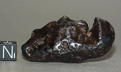 NWA 5549 (IAB-MG, anomalous silicated iron)