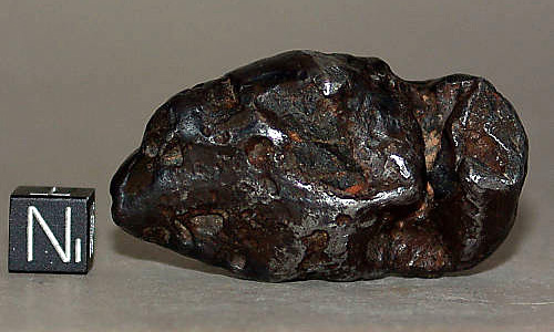 NWA 5549 (IAB-MG, anomalous silicated iron)