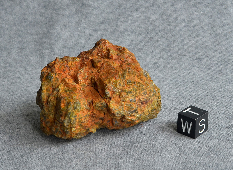 NWA 7831 (DIO (olivine))