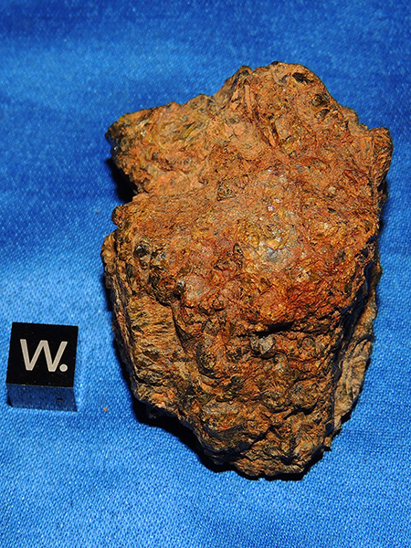 NWA 7831 (DIO (olivine))