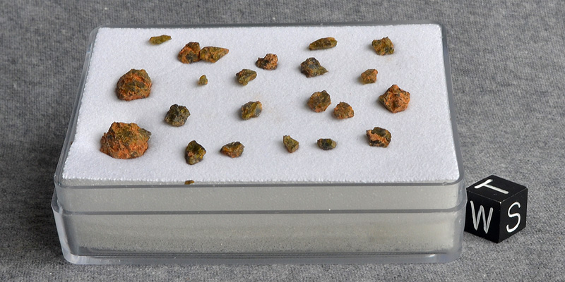 NWA 7831 (DIO (olivine))