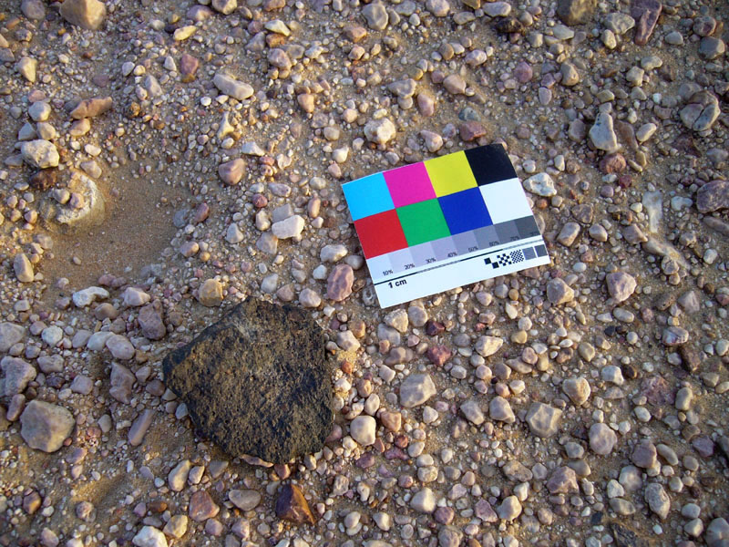 Dhofar 1629 (LUN basalt/anorthosite)