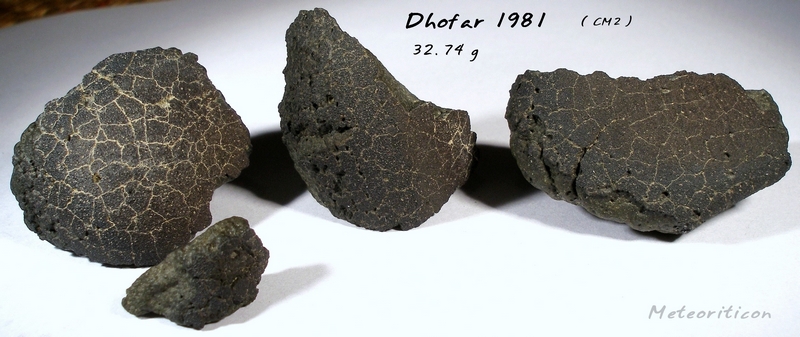 Dhofar 1981 (CM2)
