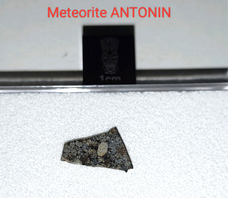 Antonin* (L5)
