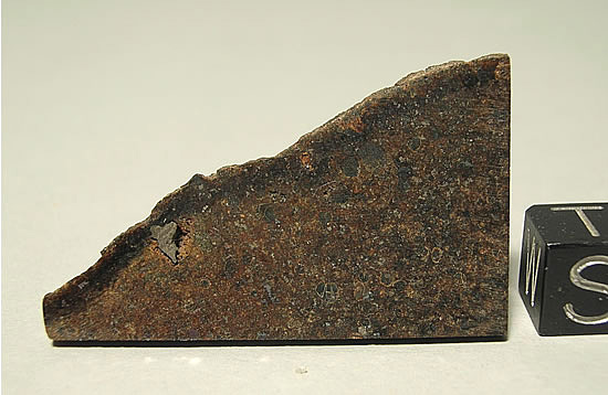 Souslovo (L4)