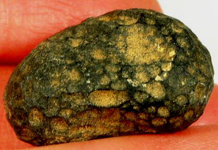 tektite Arizonite