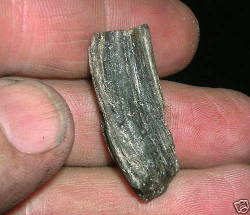 tektite Darwin Glass