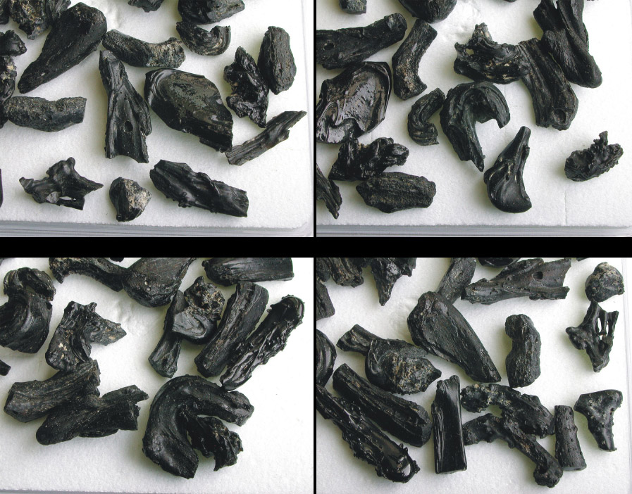 tektite Irghizite (zhamanshinites)