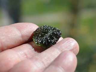 tektite Moldavite (Weltawite)