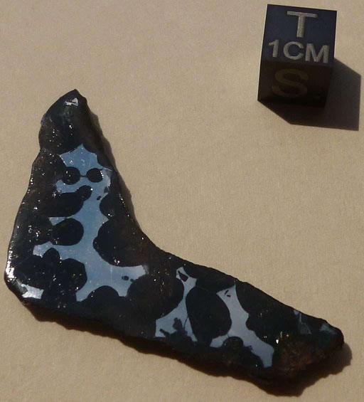 Conception Junction (PMG-an)