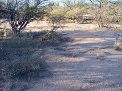 Whetstone Mountains (H5) in situ