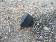 Whetstone Mountains (H5) in situ