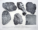 1900 - IRON METEORITE STONE prints - vintage lithographs