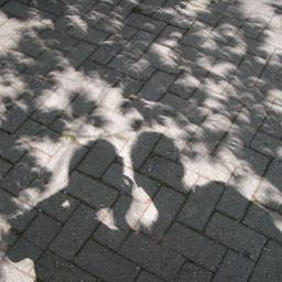 Solar eclipse of March 29, 2006 (Turkey, Antalya) - solar eclipse shadow