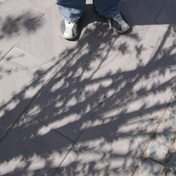 Solar eclipse of March 29, 2006 (Turkey, Antalya) - solar eclipse shadow