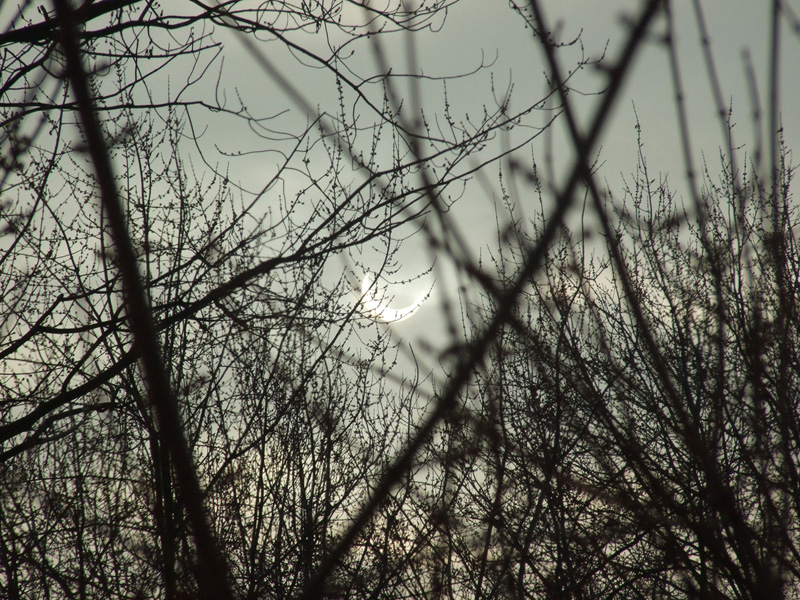 Partial Solar Eclipse - Jan. 04, 2011