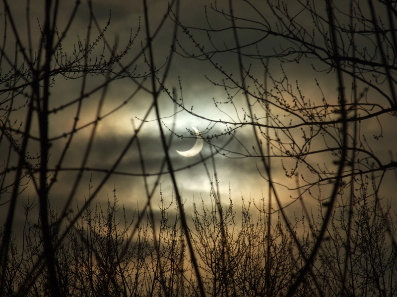 Partial Solar Eclipse - Jan. 04, 2011