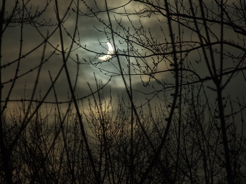 Partial Solar Eclipse - Jan. 04, 2011